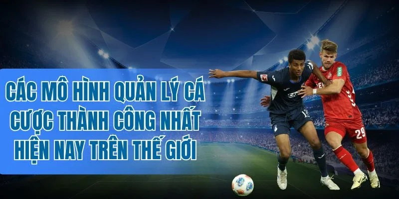 Quản lý cá cược Fibonacci giảm thiểu rủi ro lỗ vốn