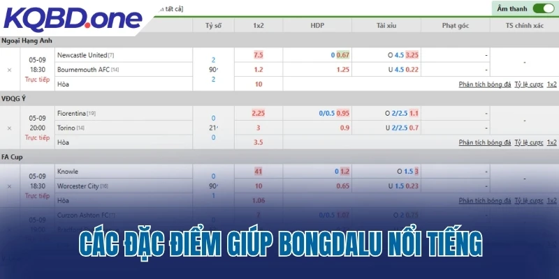 Các đặc điểm giúp Bongdalu.africa nổi tiếng