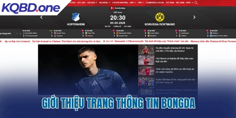 Giới thiệu trang thông tin Bongda.com.vn